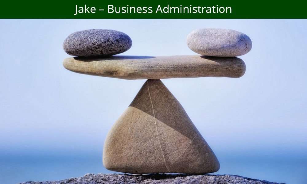 a balancing act netsupport ltd